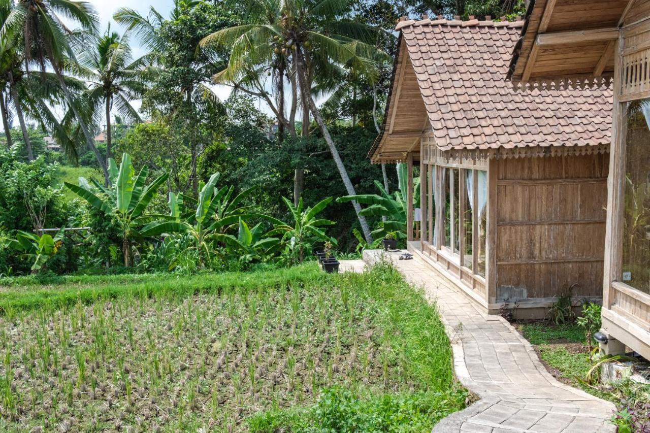 Kidem Ubud Villas Exteriér fotografie