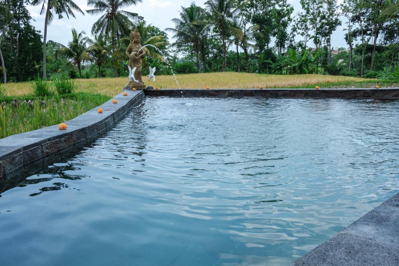 Kidem Ubud Villas Exteriér fotografie